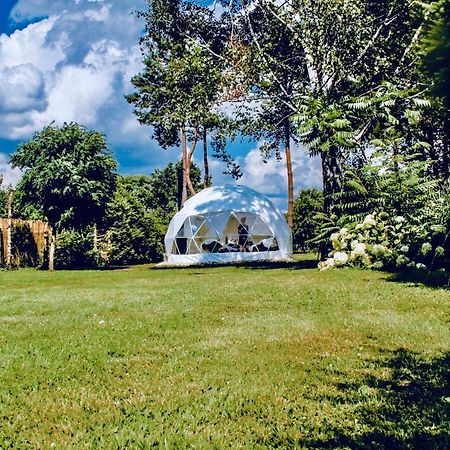 B Our Guest At Your Cozy Hideaway Dome Near Dresden Frauendorf  Exteriér fotografie